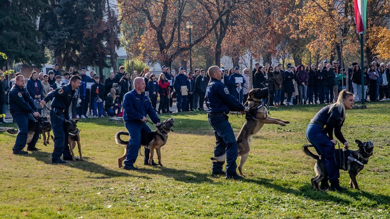 Nyílt nap a ROKK-ban